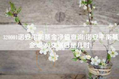 320001诺安平衡基金净值查询(诺安平衡基金320001交易日是几时)