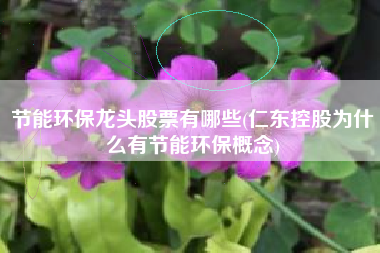 节能环保龙头股票有哪些(仁东控股为什么有节能环保概念)