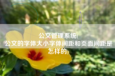 公文管理系统(
公文的字体大小字体间距和页面间距是怎样的) 公文管理系统(
公文的字体大小字体间距和页面间距是怎样的)