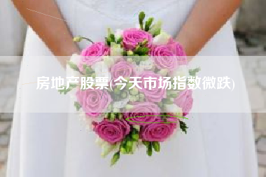 房地产股票(今天市场指数微跌)