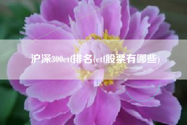 沪深300etf排名(etf股票有哪些)
