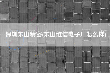 深圳东山精密(东山维信电子厂怎么样)