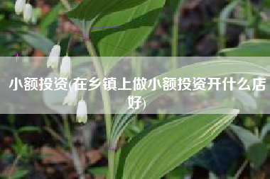 小额投资(在乡镇上做小额投资开什么店好)