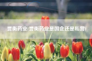 誉衡药业(誉衡药业是国企还是私营)