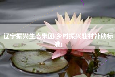 辽宁振兴生态集团(乡村振兴驻村补助标准)