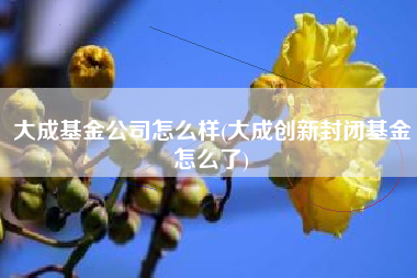 大成基金公司怎么样(大成创新封闭基金怎么了)