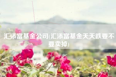 汇添富基金公司(汇添富基金天天跌要不要卖掉)