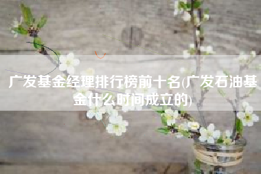 广发基金经理排行榜前十名(广发石油基金什么时间成立的)