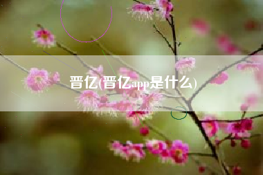 晋亿(晋亿app是什么)