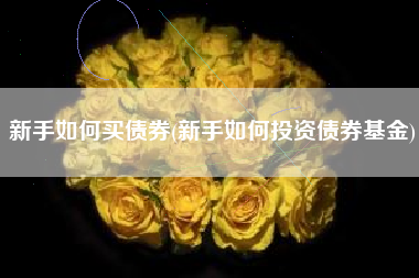 新手如何买债券(新手如何投资债券基金)