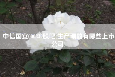 中信国安000839股吧(生产硼酸有哪些上市公司)