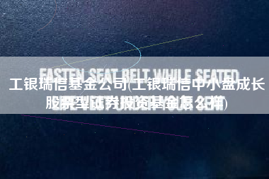 工银瑞信基金公司(工银瑞信中小盘成长股票型证券投资基金怎么样)