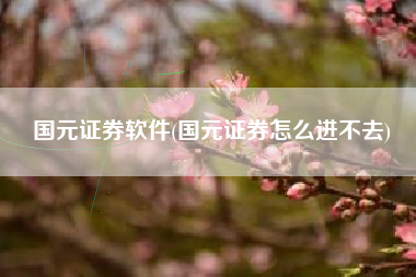 国元证券软件(国元证券怎么进不去)