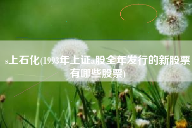 s上石化(1993年上证a股全年发行的新股票有哪些股票)