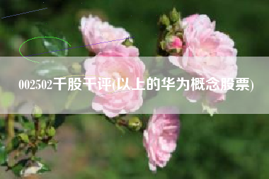 002502千股千评(以上的华为概念股票)