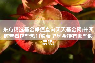 东方精选基金净值查询天天基金网(并实时查看这些热门股票型基金持有哪些股票呢)