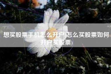 想买股票手机怎么开户(怎么买股票如何开户买股票)