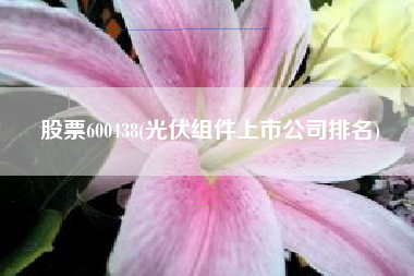 详细阅读:股票600438(光伏组件上市公司排名) 股票600438(光伏组件上市公司排名)
