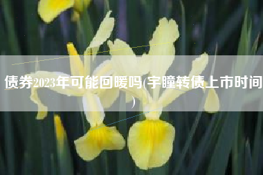 债券2023年可能回暖吗(宇瞳转债上市时间)