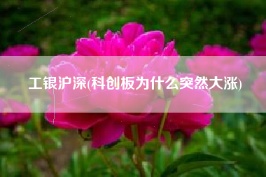工银沪深(科创板为什么突然大涨)