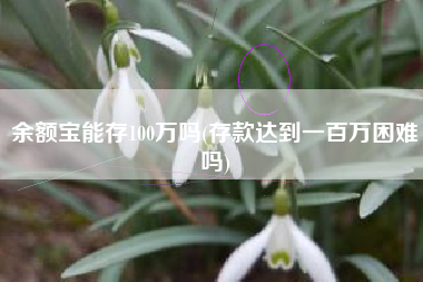 余额宝能存100万吗(存款达到一百万困难吗)