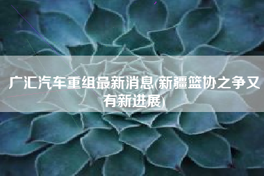 广汇汽车重组最新消息(新疆篮协之争又有新进展)