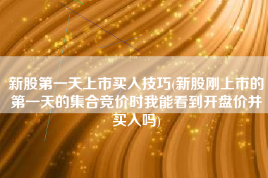新股第一天上市买入技巧(新股刚上市的第一天的集合竞价时我能看到开盘价并买入吗)