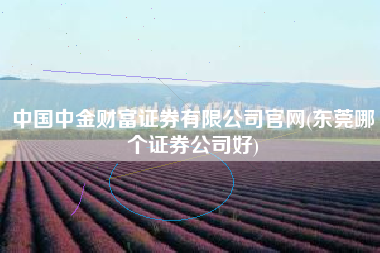 中国中金财富证券有限公司官网(东莞哪个证券公司好)