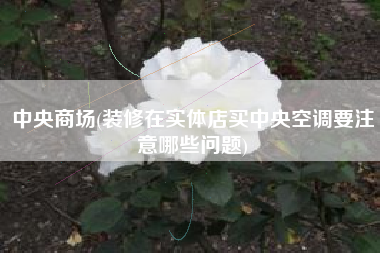 中央商场(装修在实体店买中央空调要注意哪些问题)