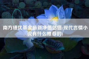 南方绩优基金最新净值估值(现代言情小说有什么推荐的)