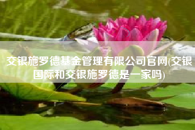 交银施罗德基金管理有限公司官网(交银国际和交银施罗德是一家吗)