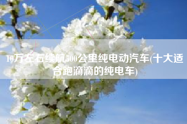 10万左右续航500公里纯电动汽车(十大适合跑滴滴的纯电车)