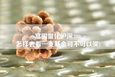 富国量化沪深300(
怎样去看一支基金可不可以买) 富国量化沪深300(
怎样去看一支基金可不可以买)