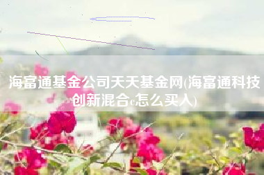 海富通基金公司天天基金网(海富通科技创新混合c怎么买入)