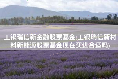 工银瑞信新金融股票基金(工银瑞信新材料新能源股票基金现在买进合适吗)