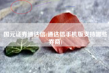 国元证券通达信(通达信手机版支持哪些券商)