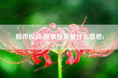 股市投资(股票投资是什么意思)