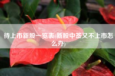 待上市新股一览表(新股中签又不上市怎么办)