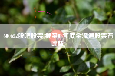 600652股吧股票(截至08年底全流通股票有哪些)