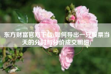 东方财富官方下载(如何导出一只股票当天的分时与分价成交明细)