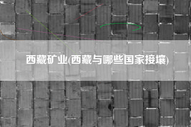 西藏矿业(西藏与哪些国家接壤)