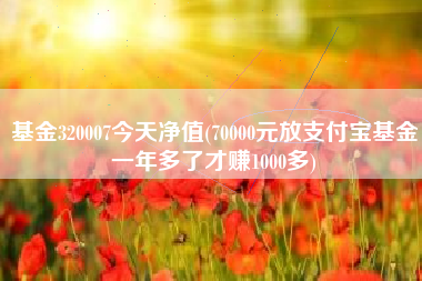 基金320007今天净值(70000元放支付宝基金一年多了才赚1000多)
