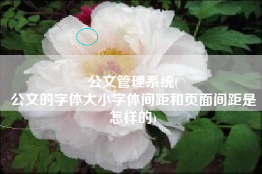 公文管理系统(
公文的字体大小字体间距和页面间距是怎样的) 公文管理系统(
公文的字体大小字体间距和页面间距是怎样的)