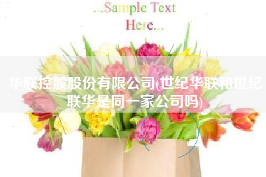 华联控股股份有限公司(世纪华联和世纪联华是同一家公司吗)