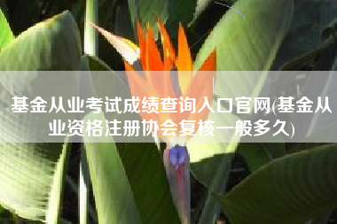基金从业考试成绩查询入口官网(基金从业资格注册协会复核一般多久)