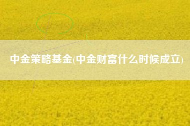 中金策略基金(中金财富什么时候成立)