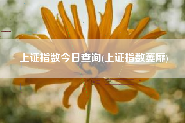 上证指数今日查询(上证指数萎靡)
