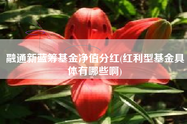 融通新蓝筹基金净值分红(红利型基金具体有哪些啊)