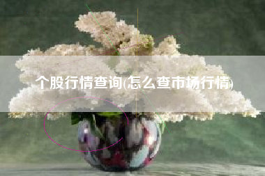 个股行情查询(怎么查市场行情)