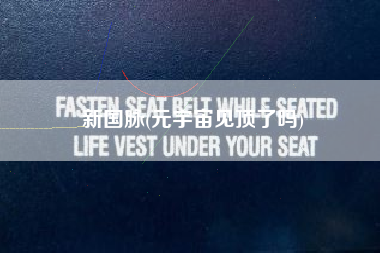 新国脉(元宇宙见顶了吗)